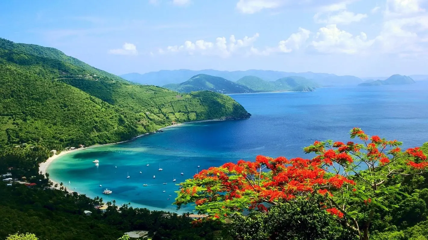 高效信息化先进